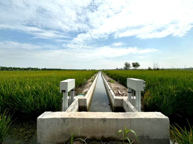 中水监理再添万亩高标准农田项目业绩